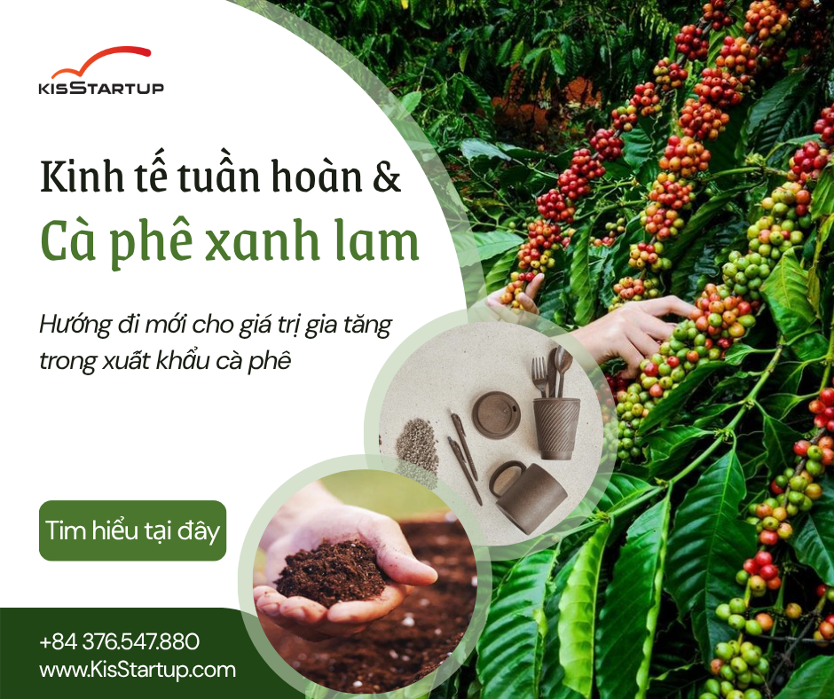 Kinh tế tuần hoàn và “cà phê xanh lam” – hướng đi mới cho giá trị gia tăng trong xuất khẩu cà phê