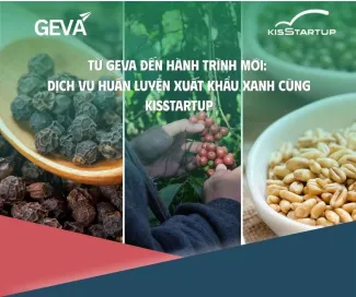 Dịch vụ Huấn luyện Xuất khẩu Xanh – Green Export Accelerator by KisStartup